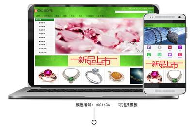 高人氣珠寶購物商城網站開發_高人氣珠寶購物商城網站制作